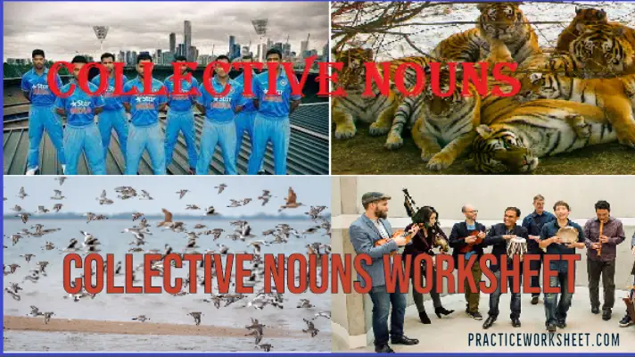 collective nouns definition examples and worksheet with pdf practice worksheet