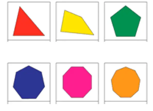 Example of Polygons