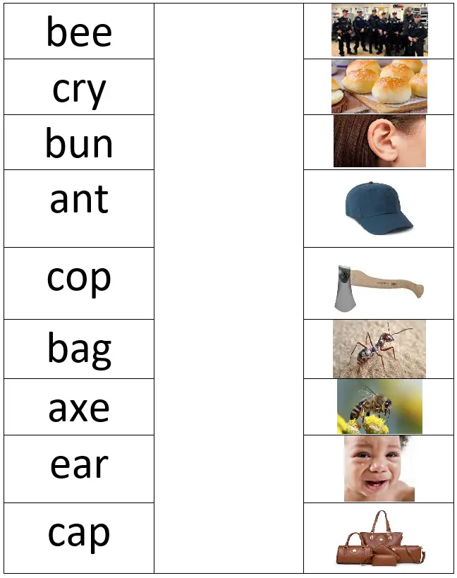 kindergarten english worksheets of 3 letter words list