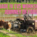Grade IV EVS Worksheet Journey of Food