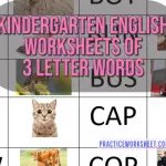 Kindergarten English Worksheets of 3 letter words list