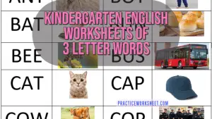 3 letter words sentences in english for kindergarten