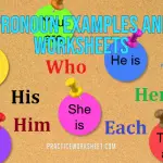 Pronoun Examples and Worksheets