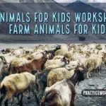 Animals for Kids Worksheet Farm Animals for Kids