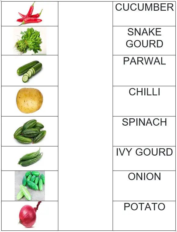 Vegetable names and images