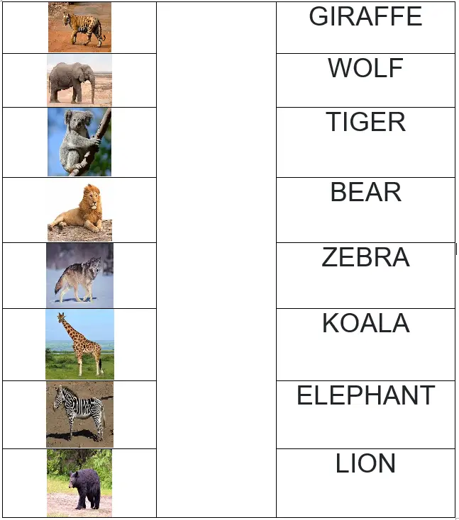 Wild animals images vs wild animal names
