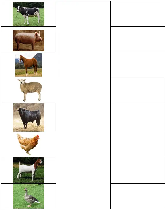 Animals for Kids Worksheet: Farm Animals for Kids (pdf) – Practice