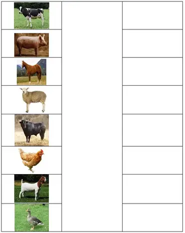 animals for kids worksheet farm animals for kids pdf practice worksheet