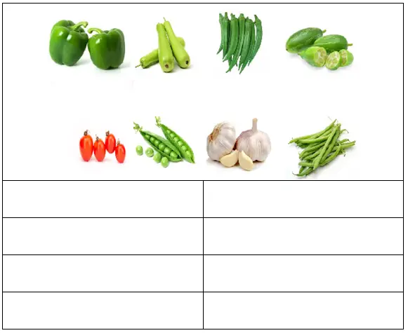 identify the vegetables