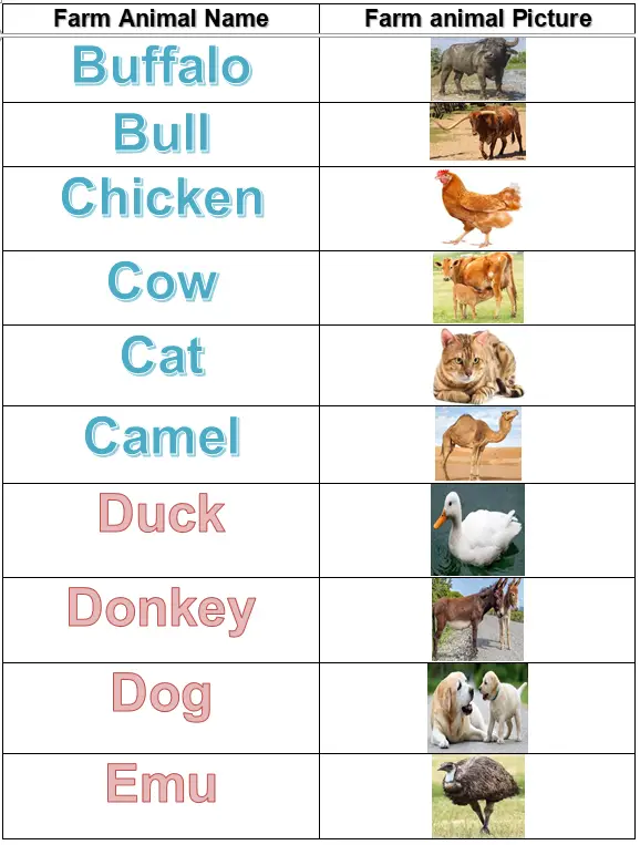 List of Farm Animals for Kids