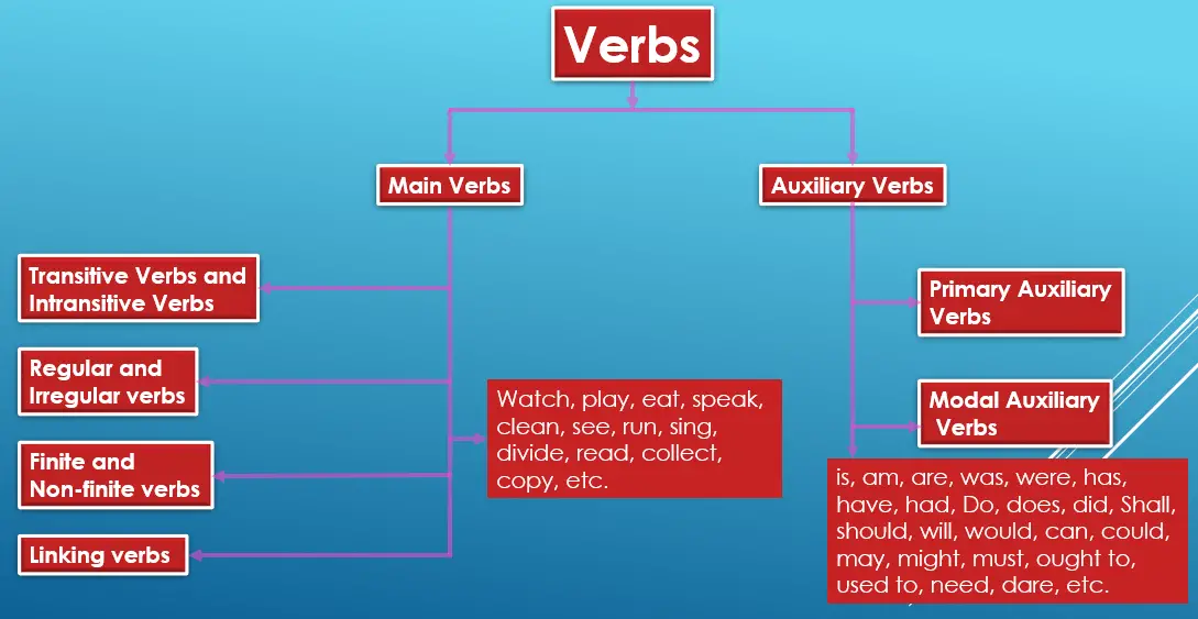Verb Types Worksheets