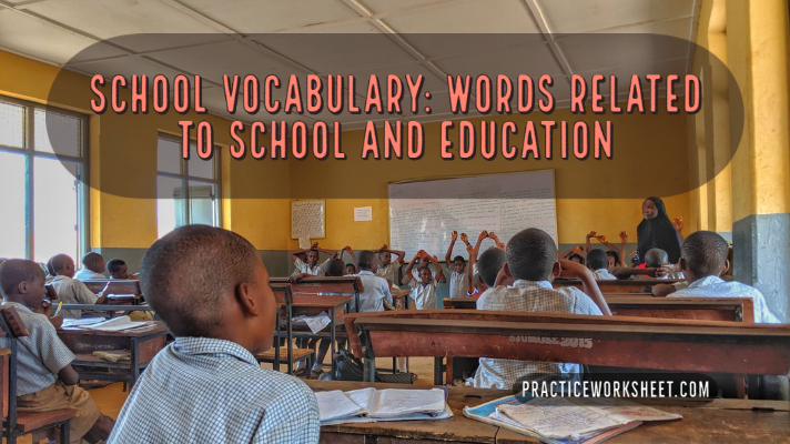School Vocabulary Words related to school and education