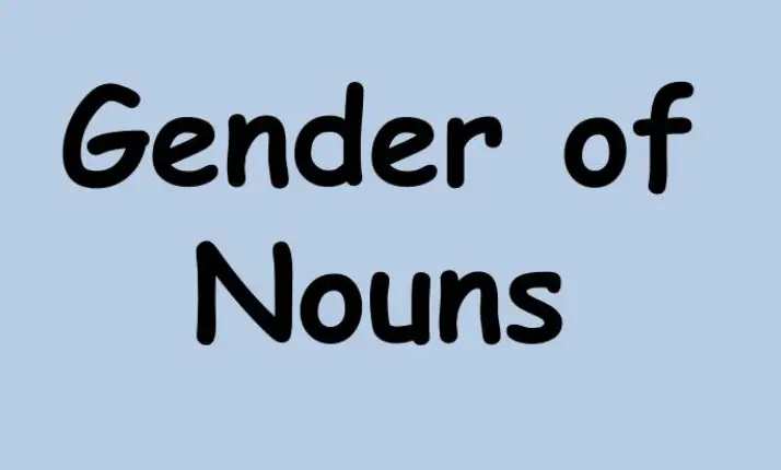 Noun Genders