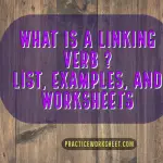 What is a Linking Verb