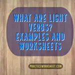What are Light Verbs